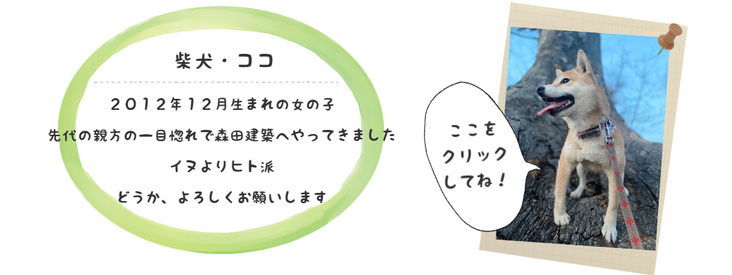 ココ紹介文