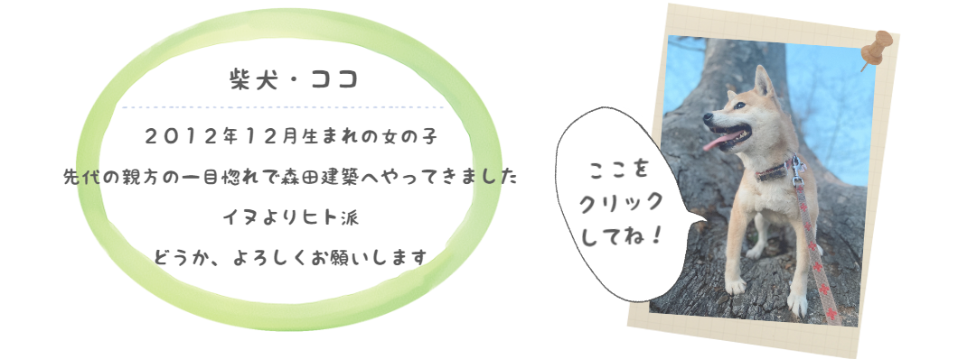 ココ紹介文