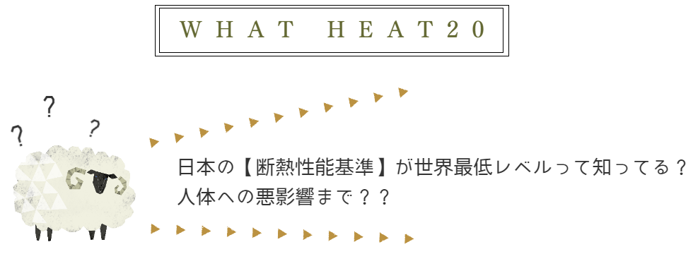 WHAT ZEH...?