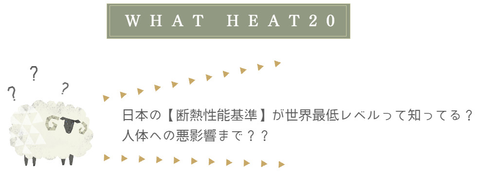 WHAT ZEH...?